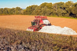 Ερωτήματα εκατομμυρίων για τις επιδοτήσεις «κατά προτεραιότητα»