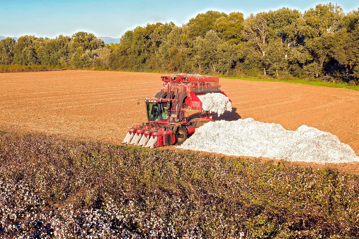 Ερωτήματα εκατομμυρίων για τις επιδοτήσεις «κατά προτεραιότητα»