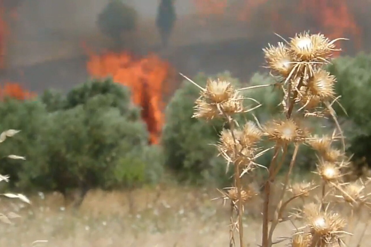 Ακαθάριστα οικόπεδα «λαμπάδιασαν» τον Σαρωνικό