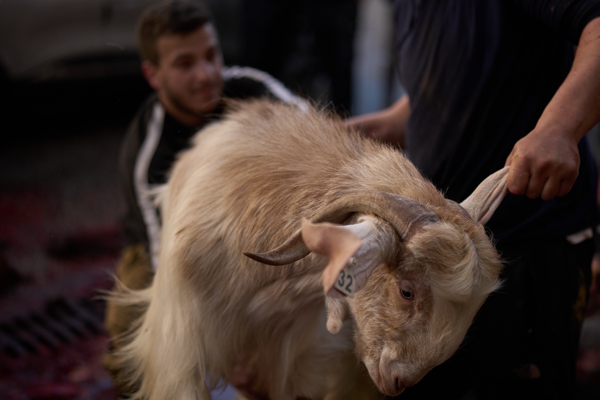 Μάχη επιβίωσης στη Γάζα