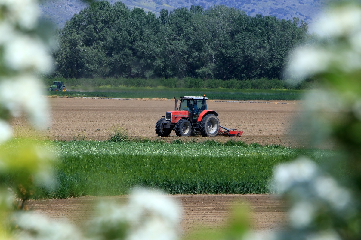 Βάζουν κάμερες στα χωράφια για να γλυτώσουν τις σοδιές τους