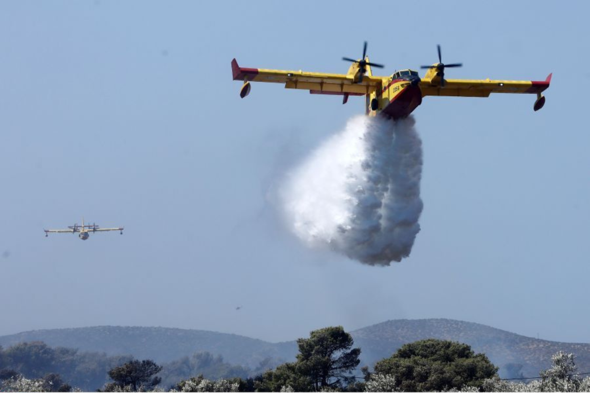 Μεγάλη πυρκαγιά στο Ακραίφνιο- Έκλεισε η εθνική οδός