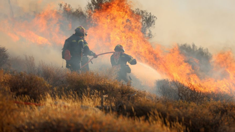 Από αγροτικές εργασίες με καταστροφέα η μεγάλη πυρκαγιά στην Αργολίδα