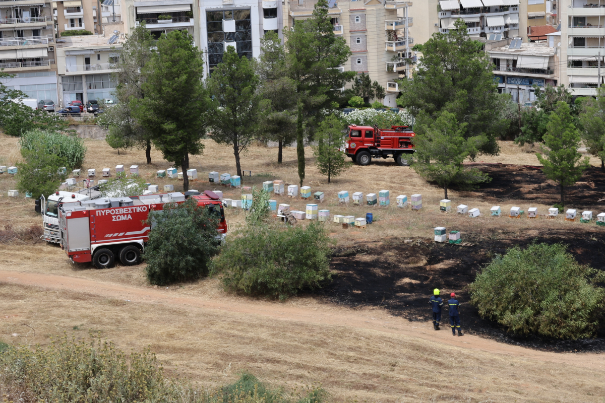 Σύλληψη 45χρονου μελισσοκόμου για τη φωτιά στο Άλσος Βεΐκου