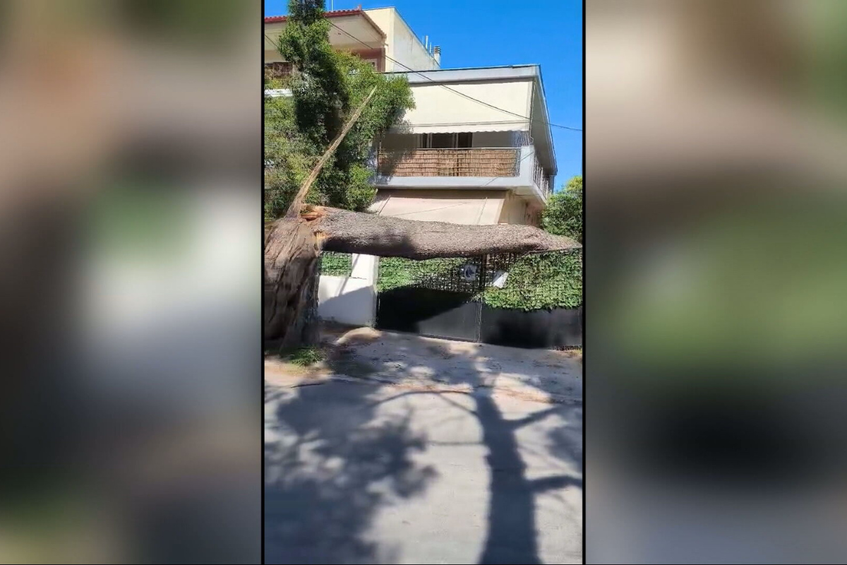 Δέντρο έπεσε σε αυτοκίνητο