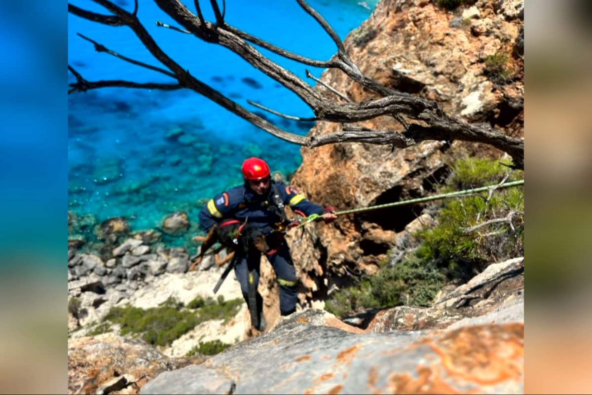 Διάσωση σκύλου από γκρεμό στη Ζάκυνθο