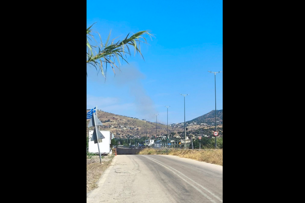 Φωτιά στην Πλάκα Λαυρεωτικής