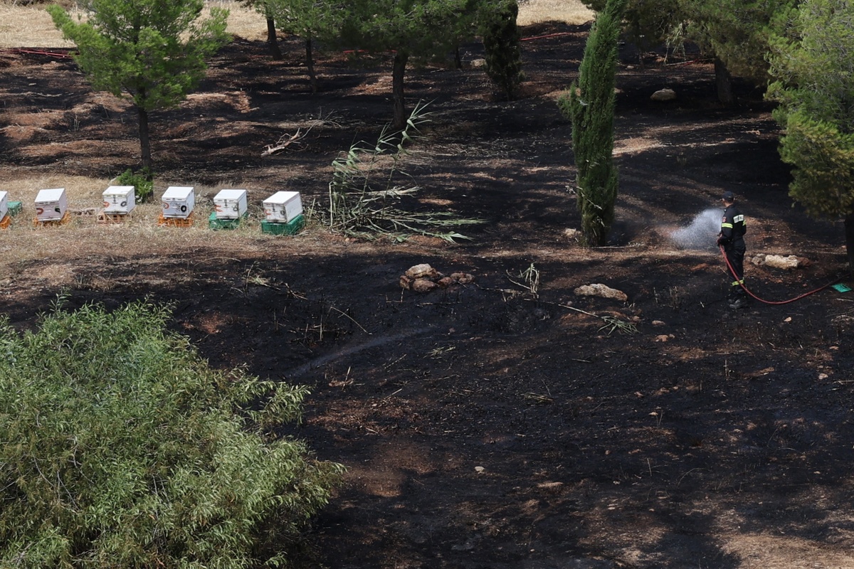 Συνελήφθη 45χρονος μελισσοκόμος για την χθεσινή πυρκαγιά στο άλσος Βεΐκου