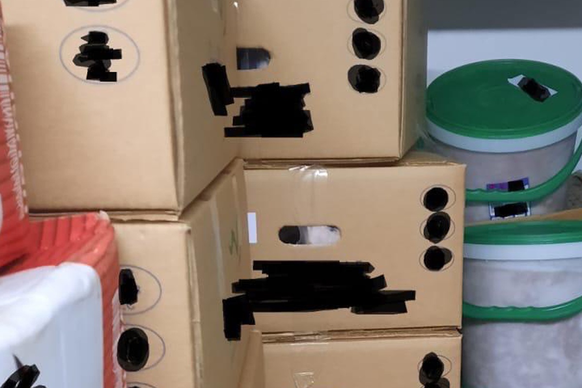 Κατάσχεση 5,3 τόνων ακατάλληλου κρέατος