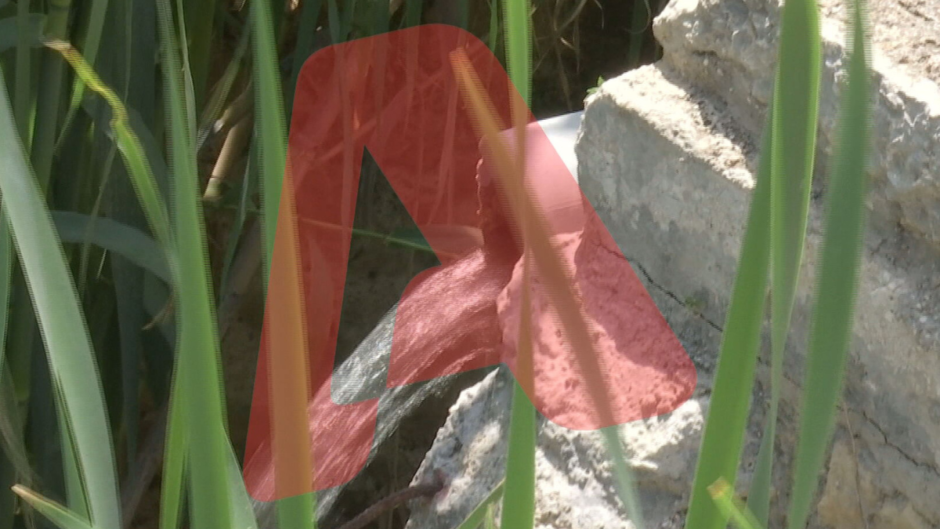 ΚΗΦΙ… S.O.S – Νέες καταγγελίες για την μόλυνση του.