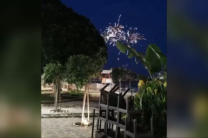 Πυρκαγιά σε βραχονησίδα στον Πειραιά – Καταγγελίες για βεγγαλικά