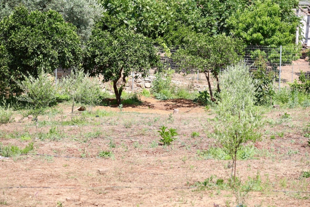 Χανιά: Βρέθηκε θαμμένη σε χωράφι η 45χρονη