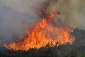 Σε Αττική και Φωκίδα τα ανησυχητικά μέτωπα- 59 πυρκαγιές σήμερα