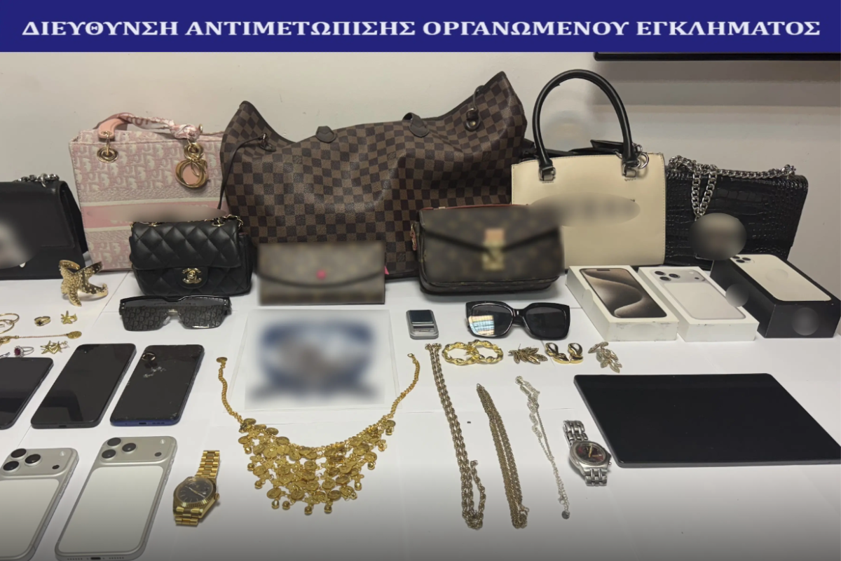 Μαϊμού υπάλληλοι ξάφριζαν σπίτια