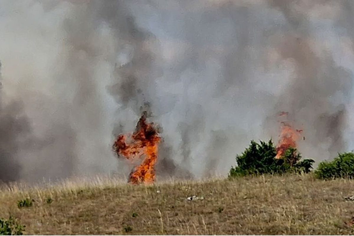 Πυρκαγιά σε χαμηλή βλάστη στη Θέρμη