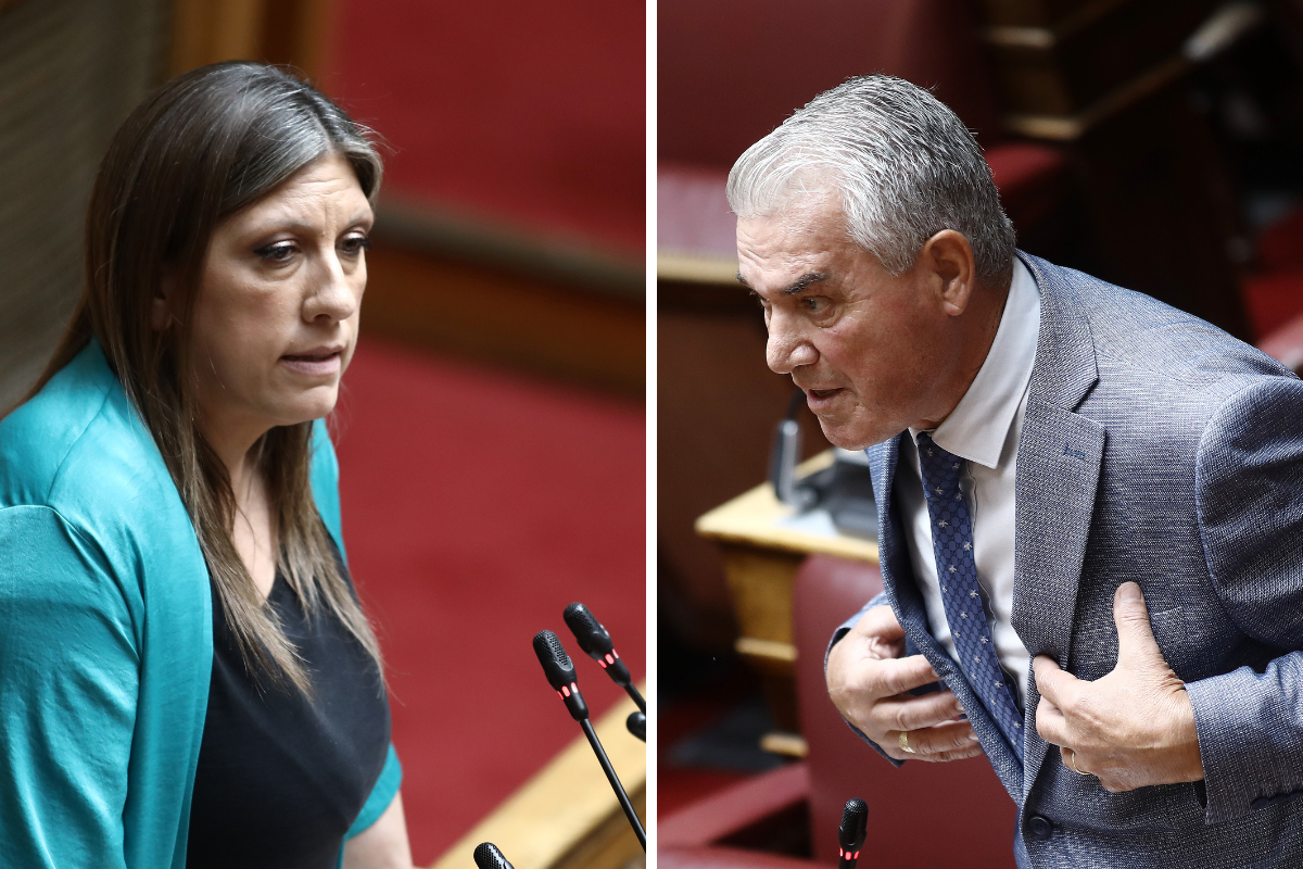 «Ήταν ευχή το «κάνε ένα παιδί» στην Κωνσταντοπούλου»