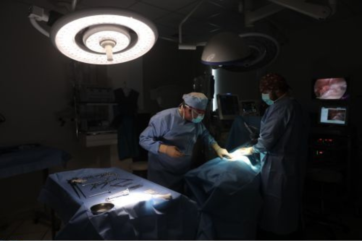 Δωρεά οργάνων από 53χρονη δίνει ελπίδα σε ασθενείς