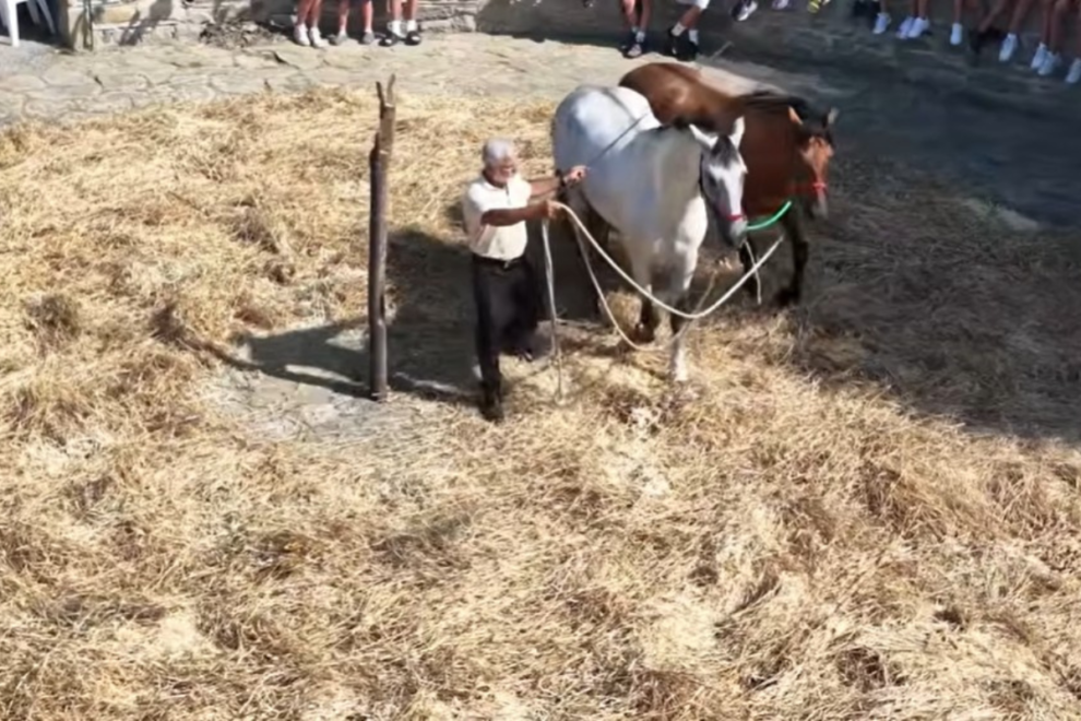 Παραδοσιακό αλώνισμα