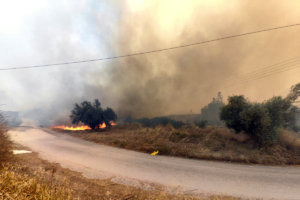 Φωτιά στο Φίχτι Αργολίδας