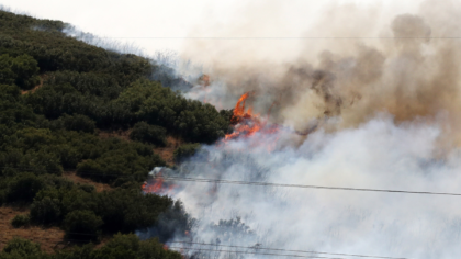 Φωτιά στην Κόνιτσα:150 πυροσβέστες στη μάχη με τις φλόγες