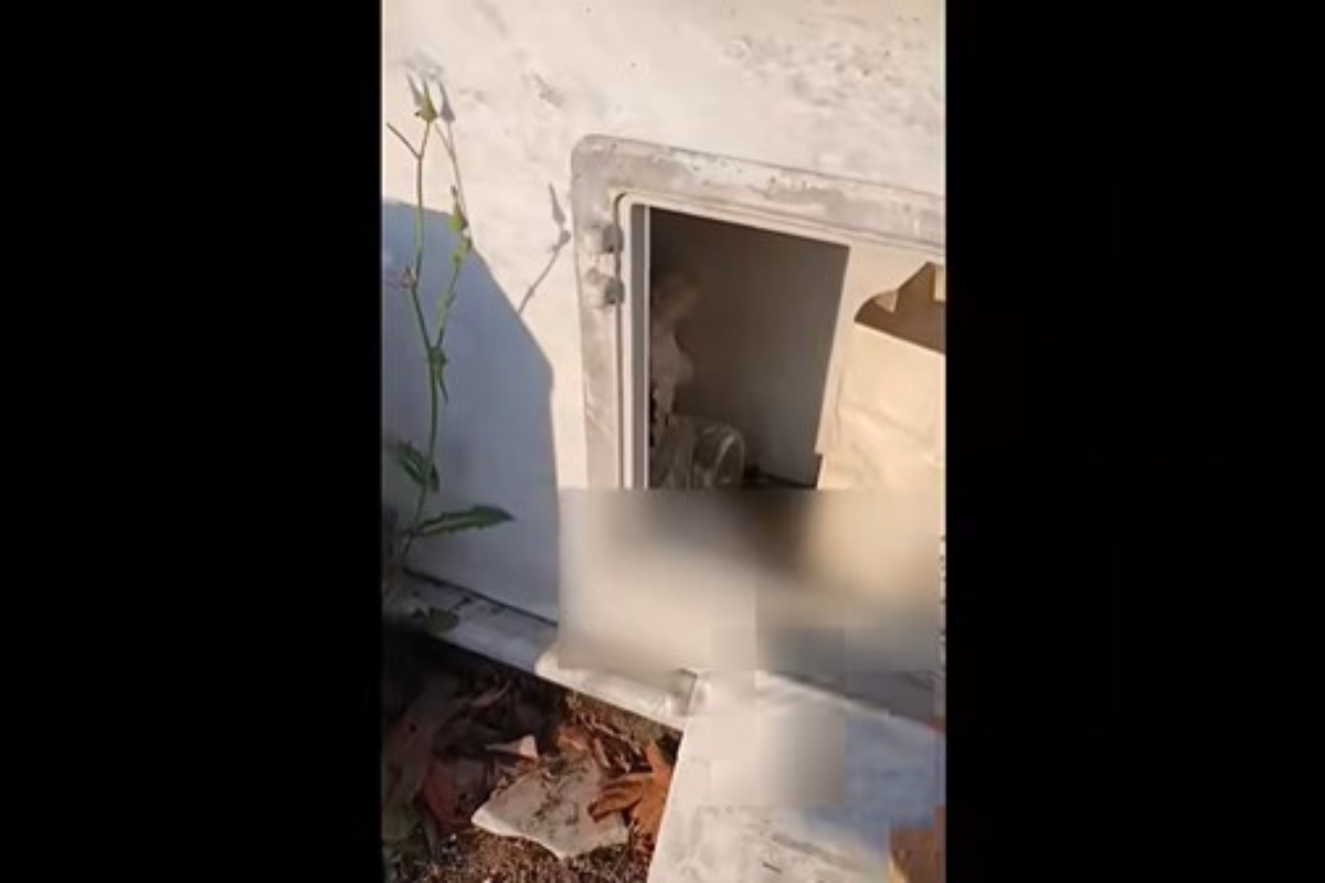 (Βίντεο) Σε τάφο έκρυβε… τα ναρκωτικά