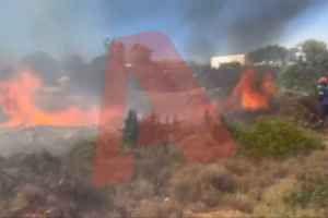 Βίντεο: Μάχη με τις φλόγες στην Πάρο