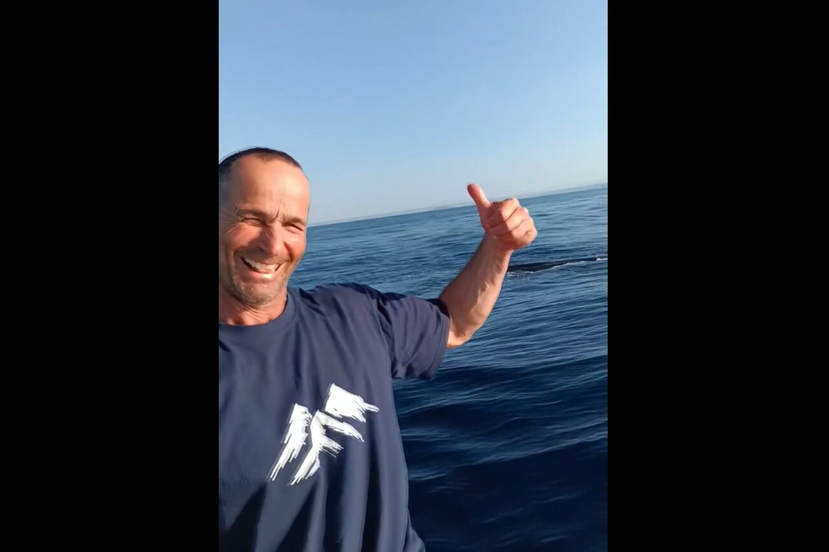 Φάλαινα φυσητήρας στη Χαλκιδική