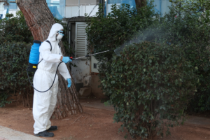 Ιός Δυτικού Νείλου: Η Αττική στο επίκεντρο – Οι δήμοι σε υψηλό κίνδυνο