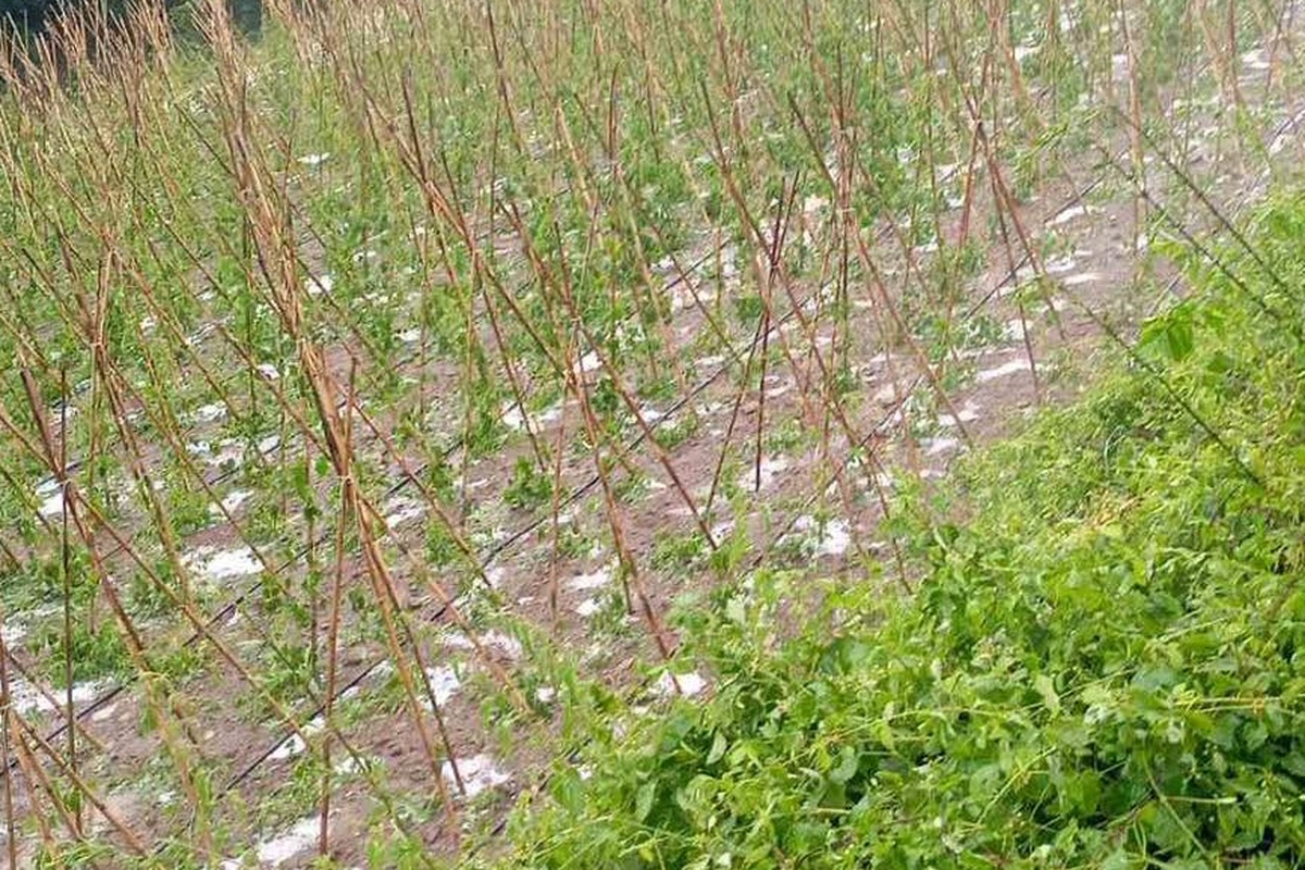 Ισχυρή χαλαζόπτωση στην Καστοριά