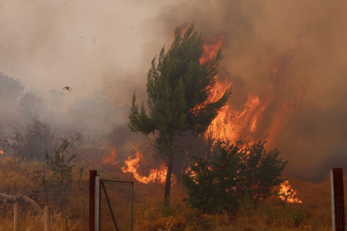 “Εμπρηστική” πολιτική σύγκρουση για τις πυρκαγιές στη χώρα