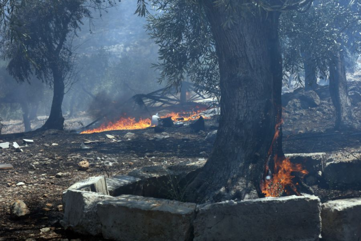 Στάχτη χιλιάδες στρέμματα