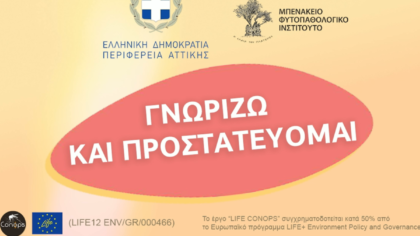 Αυξάνονται οι ψεκασμοί για τα κουνούπια