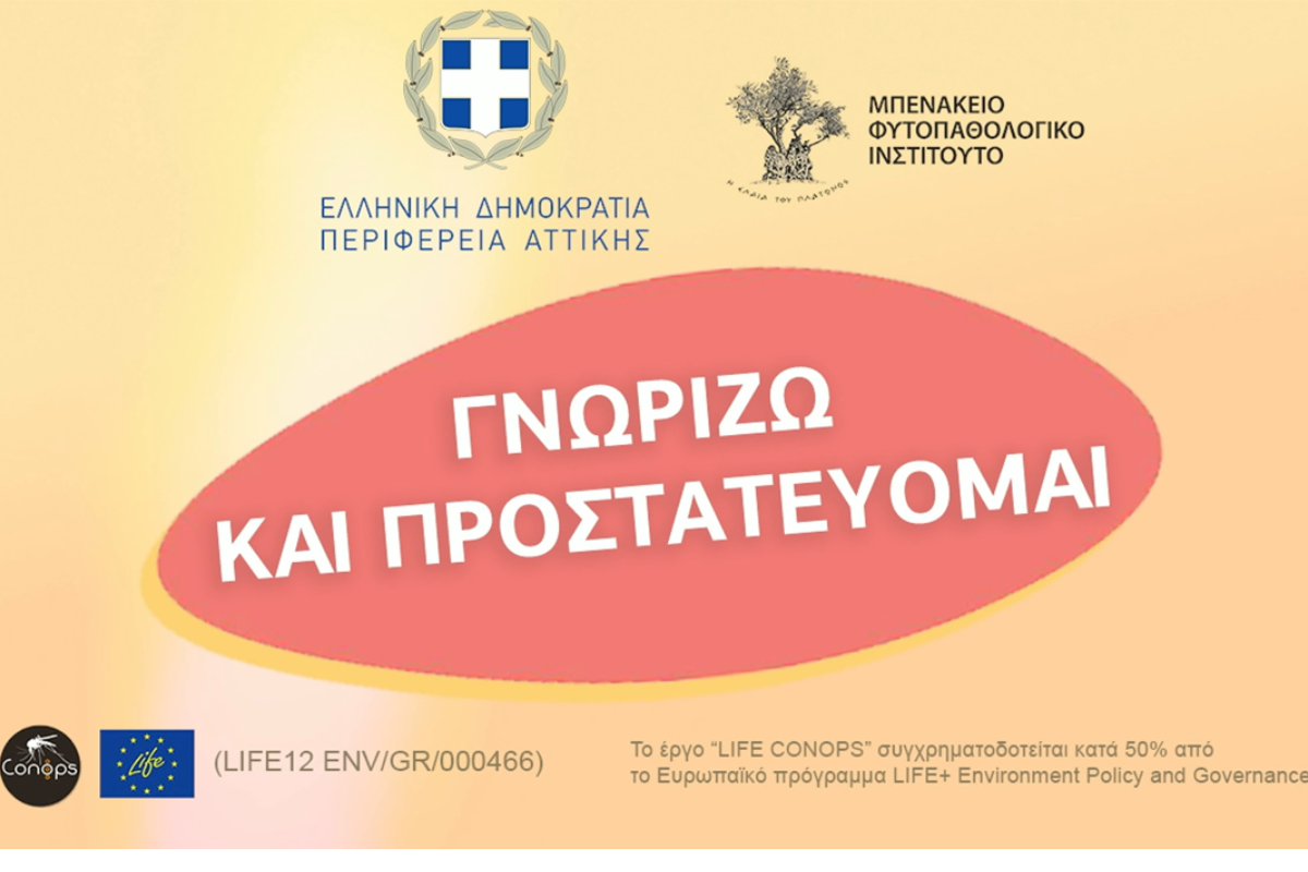 Αυξάνονται οι ψεκασμοί για τα κουνούπια