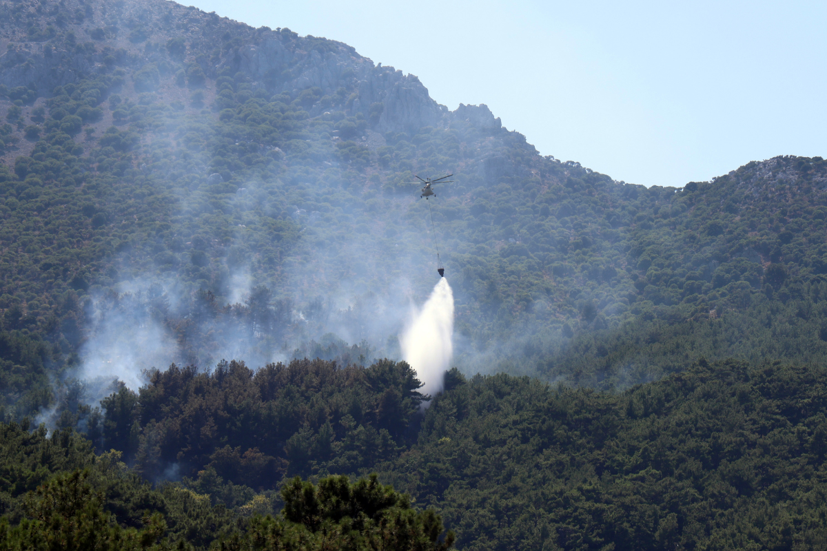 Χίος: Σε εξέλιξη πυρκαγιά στην περιοχή Βίκι