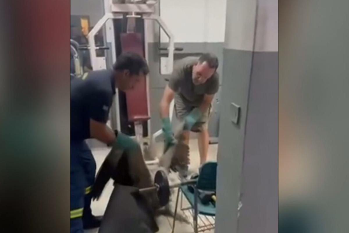 Γύπας καθήλωσε αεροπλάνο