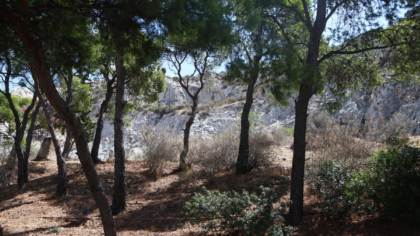 Μυστήριο με σορό 57χρονης