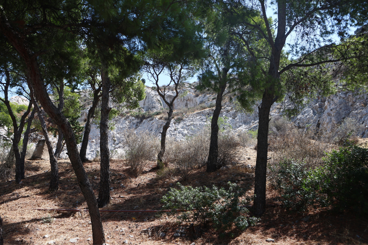Μυστήριο με σορό 57χρονης