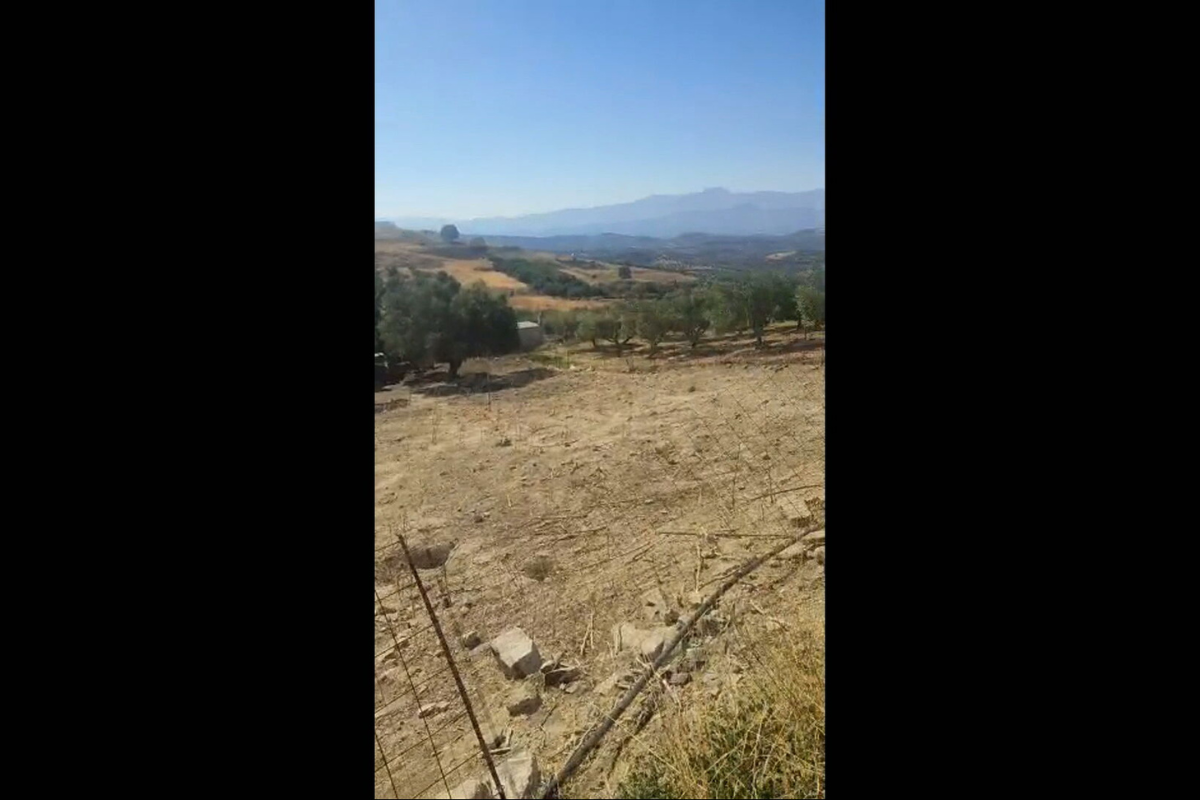 Βρήκε άδειο το μαντρί του