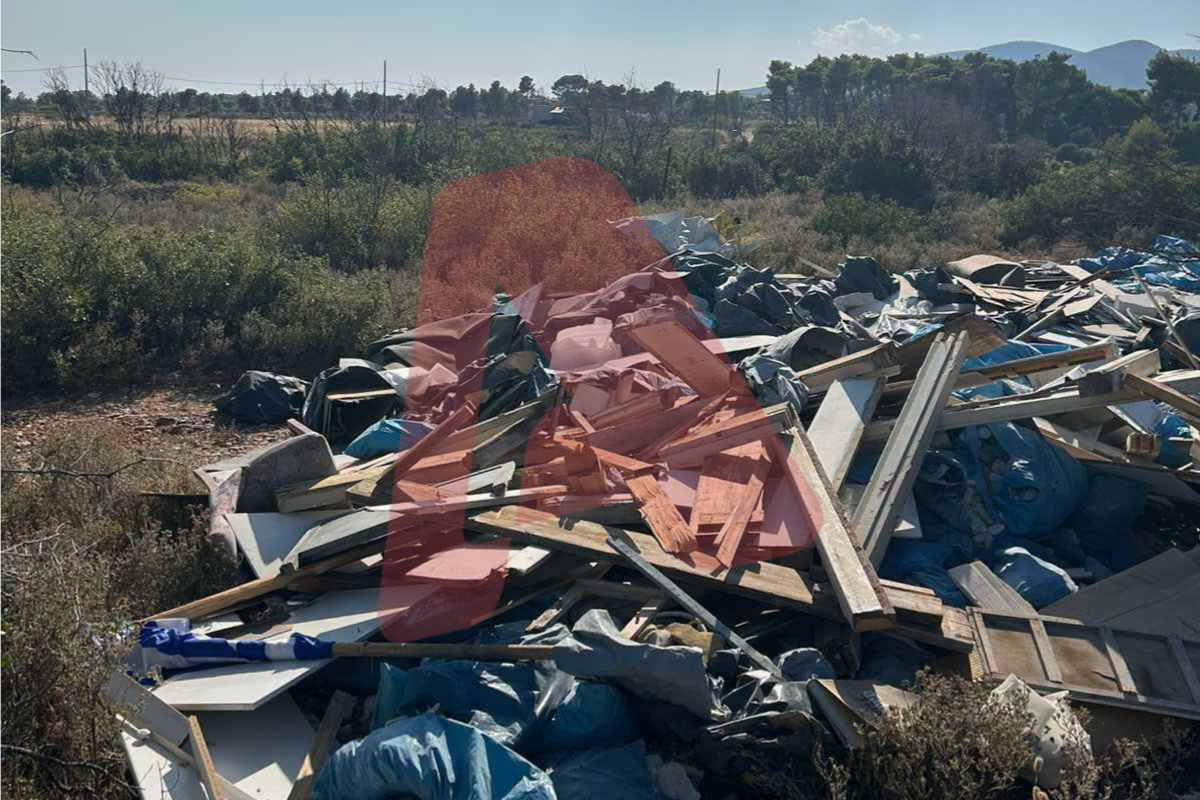 ΠΑΡΝΗΘΑ ΣΚΟΥΠΙΔΙΑ 