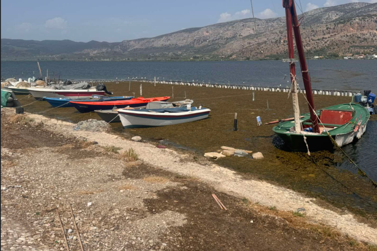 Εικόνες ντροπής στο Αιτωλικό- Λυματο-θάλασσα