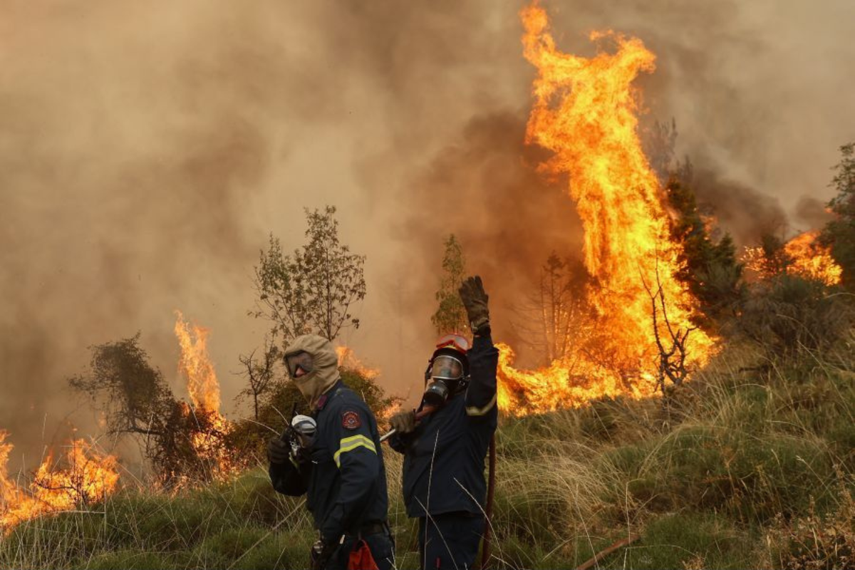 ΕΛΓΑ: Προκαταβολές 5 εκατ. ευρώ στους παραγωγούς