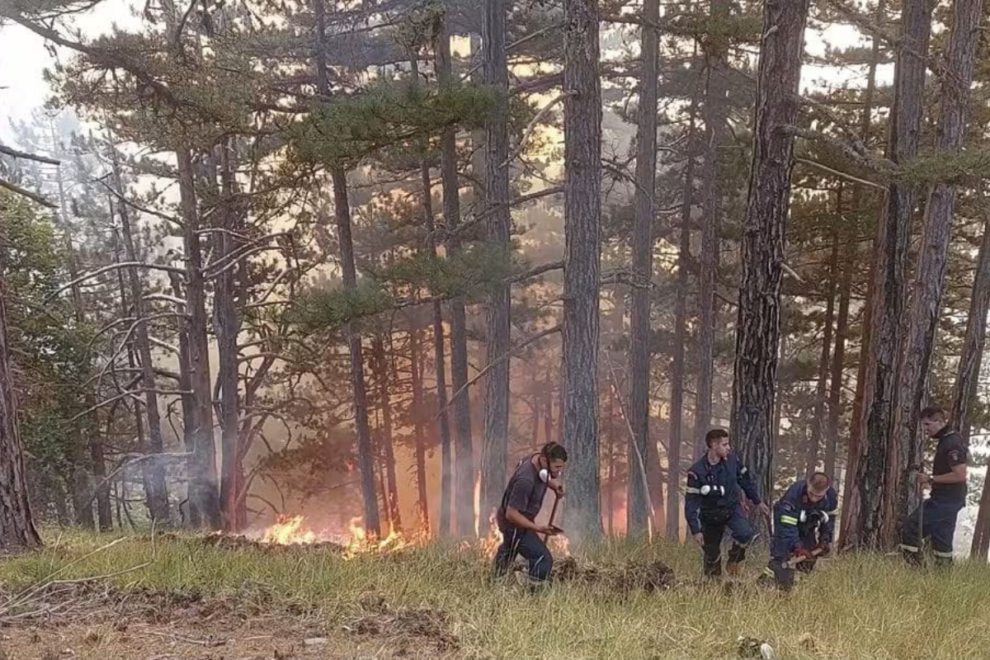 Βίντεο:Η μάχη των δασοκομάντο στην Κόνιτσα