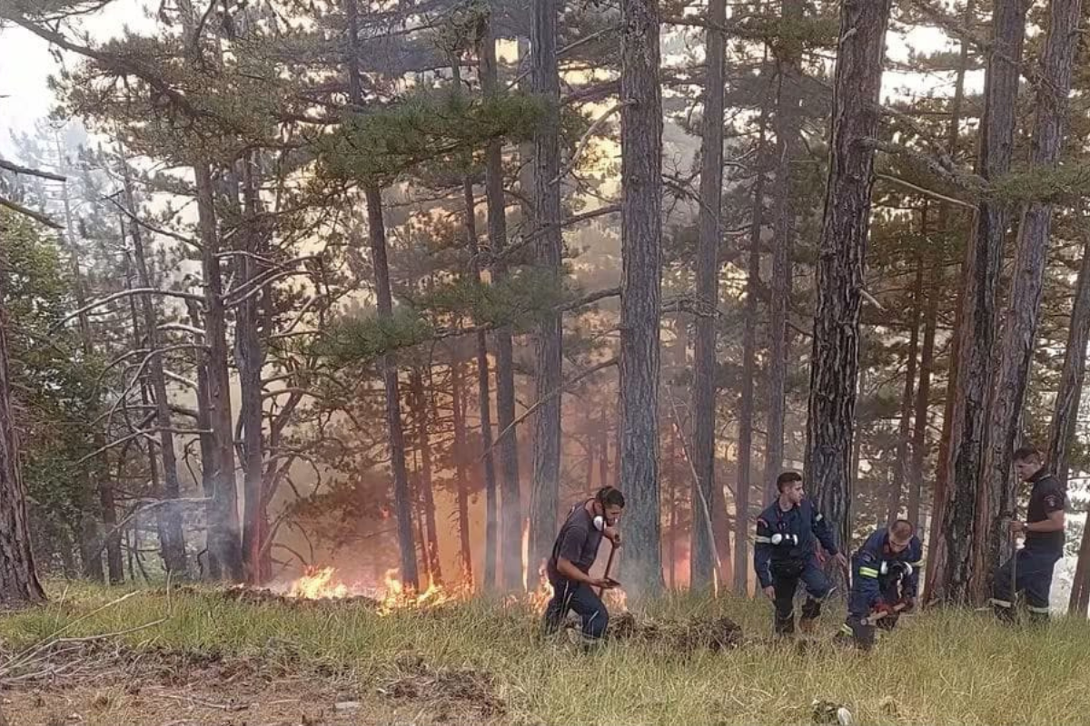 Η μάχη των δασοκομάντο στην Κόνιτσα