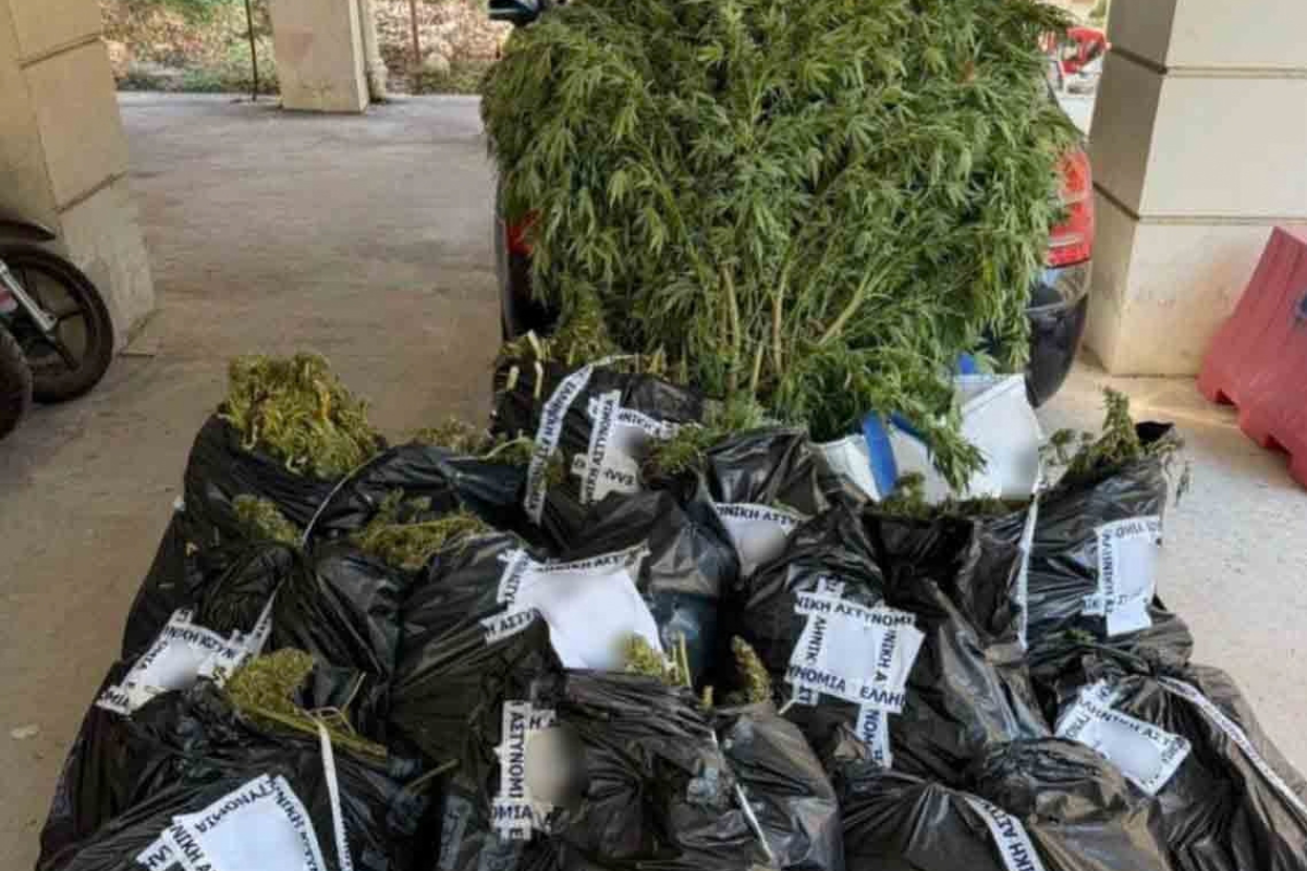 Λακωνία: Βρέθηκαν πάνω από 81 κιλά κάνναβης- Δύο συλλήψεις