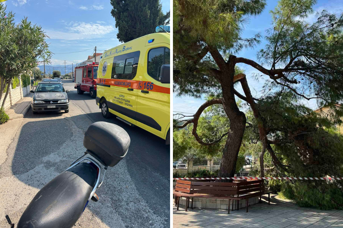 ΔΕΝΤΡΟ ΛΥΓΙΑ ΝΑΥΠΑΚΤΟΥ