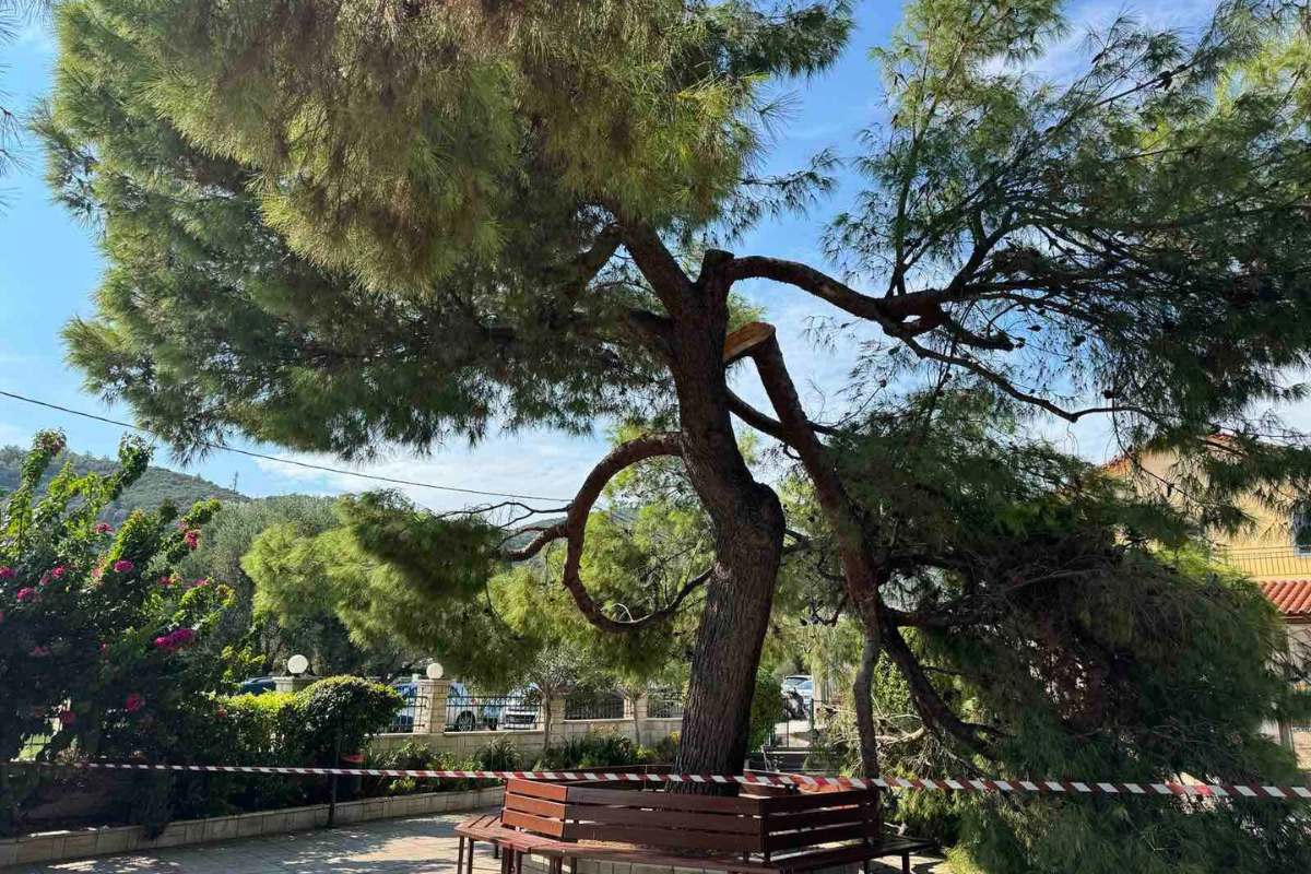 Σοκ σε κηδεία στον Άγιο Νικόλαο Λυγιάς Ναυπάκτου