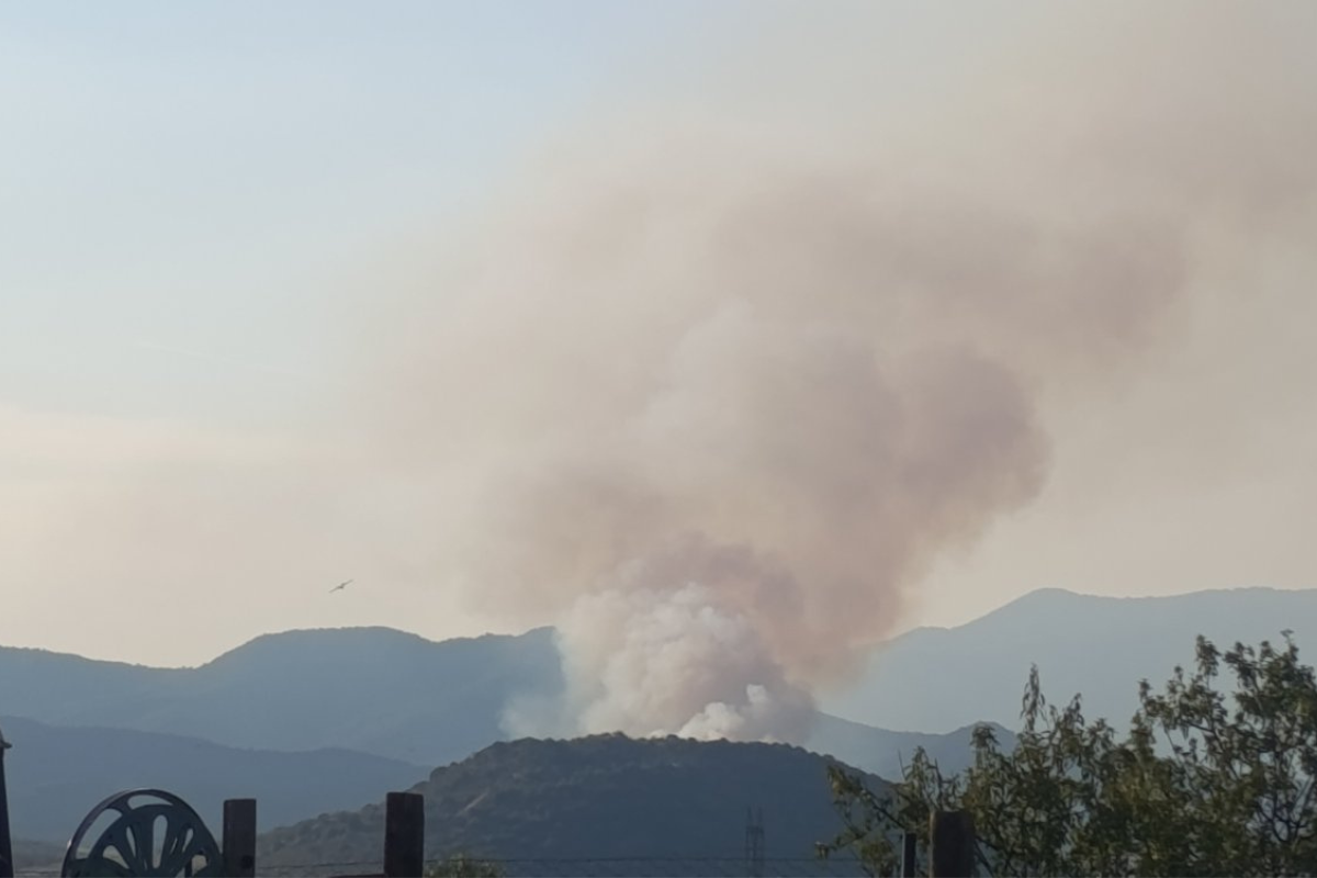 φωτιά Στριμωνικό 