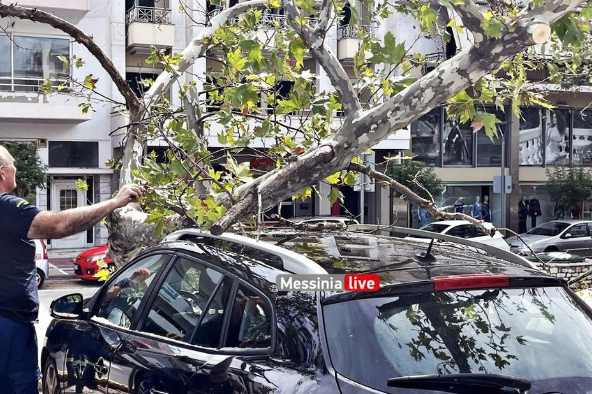 αυτοκίνητο καλαματα πλατάνι 