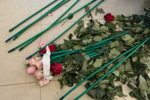 ΑΑΔΕ Τριαντάφυλλα Ναρκωτικά
