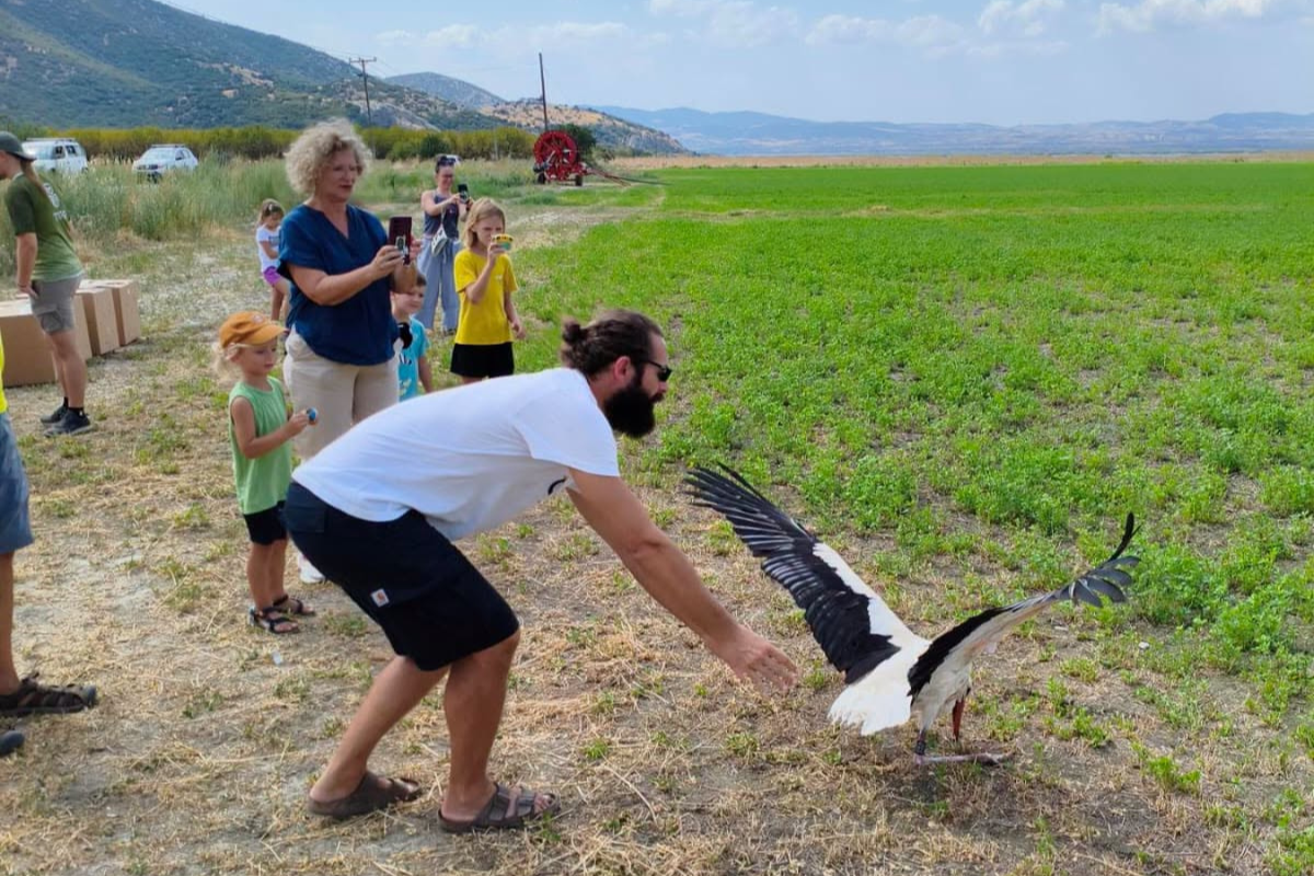 ΠΕΛΑΡΓΟΙ ΚΑΡΛΑ 